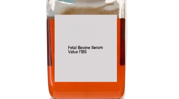 Exosome Depleted Fetal Bovine Serum